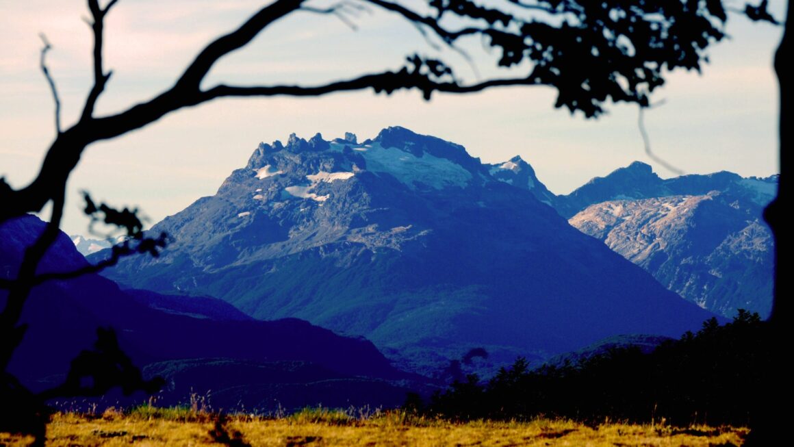 El Gobierno de la Provincia convoca a la presentación de proyectos en el marco de la Ley de Bosques