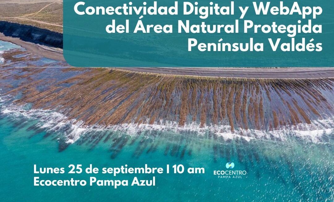 Histórico: El Gobierno del Chubut junto a Iniciativa Pampa Azul presenta un proyecto de conectividad digital para Península Valdés