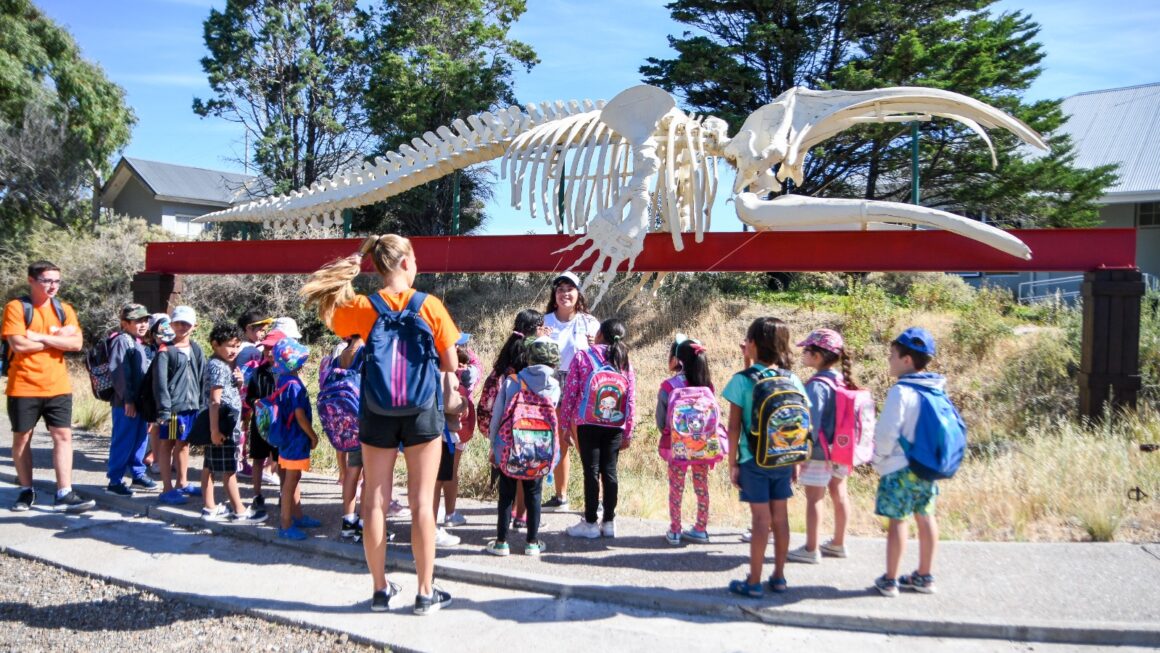 Las Inscripciones Para La Colonia De La Muni 2024 Se Extienden Dos Días Para Cuatro Sedes