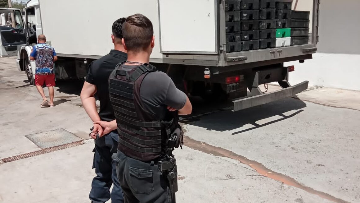 Provincia decomisó más de 6000 kilos de langostinos que eran trasladados de forma ilegal