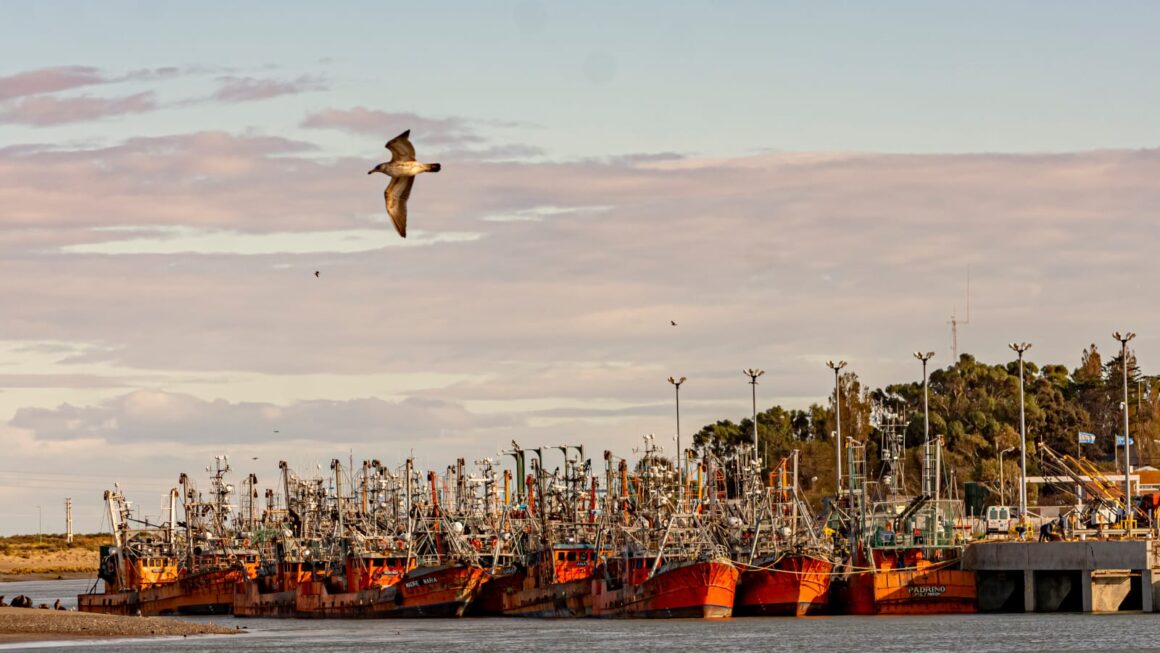 La Secretaría de Pesca dispuso la suspensión preventiva de un buque artesanal que operaba en Puerto Rawson