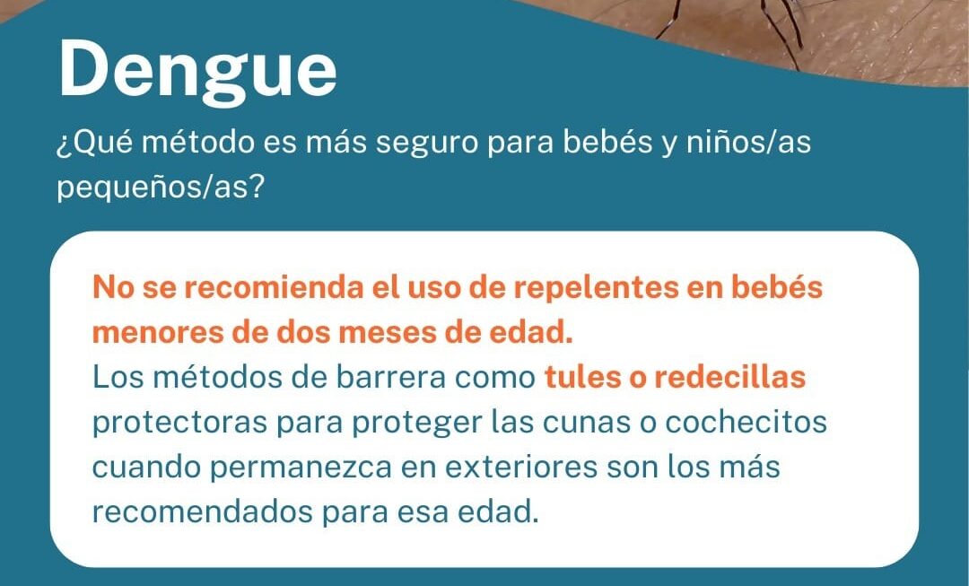 Provincia brinda recomendaciones para evitar Enfermedades Transmitidas por Mosquitos