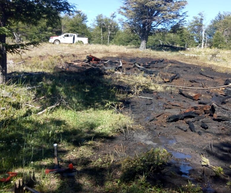 Provincia logró extinguir un incendio forestal en Río Pico