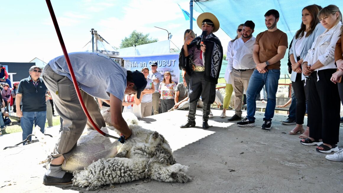 El Gobierno Provincial revalorizó la actividad ganadera en la Fiesta Nacional de la Esquila