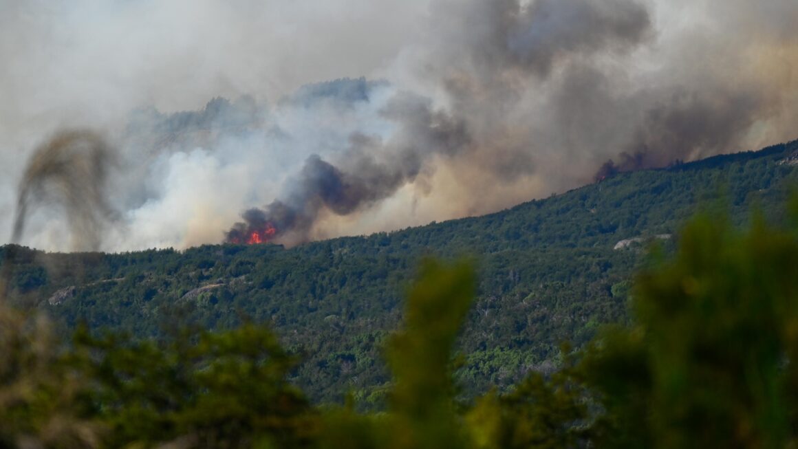 Más de 230 personas trabajan para controlar el incendio forestal en el Parque Nacional “Los Alerces”