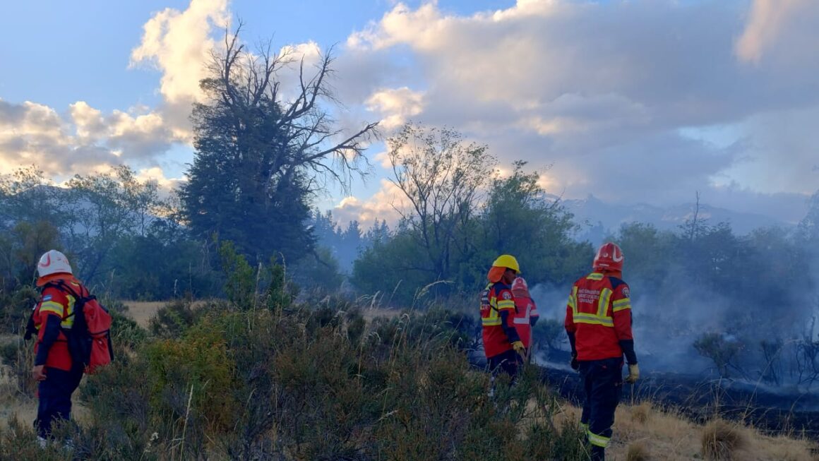 Provincia controló incendio forestal en la zona de Los Cipreses