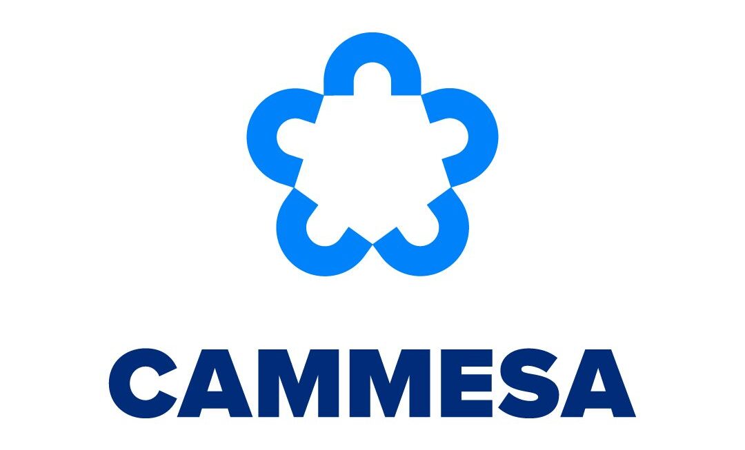 Cammesa aumento su factura 690 millones de diciembre a febrero