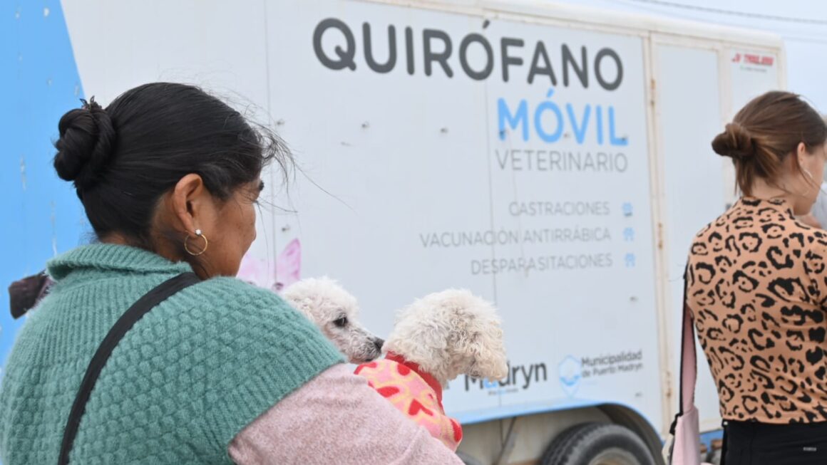 Continuamos Promoviendo El Cuidado Responsable De Animales Con Campañas Gratuitas Para Perros Y Gatos
