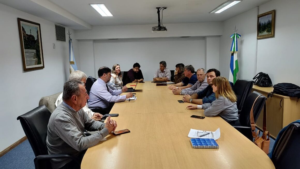 Chubut participó de reunión con Nación sobre programas de ganadería extensiva en la región patagónica