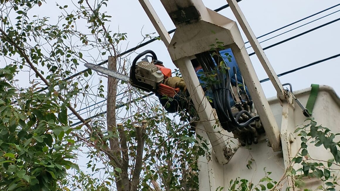 Despeje aéreo de líneas de baja tensión