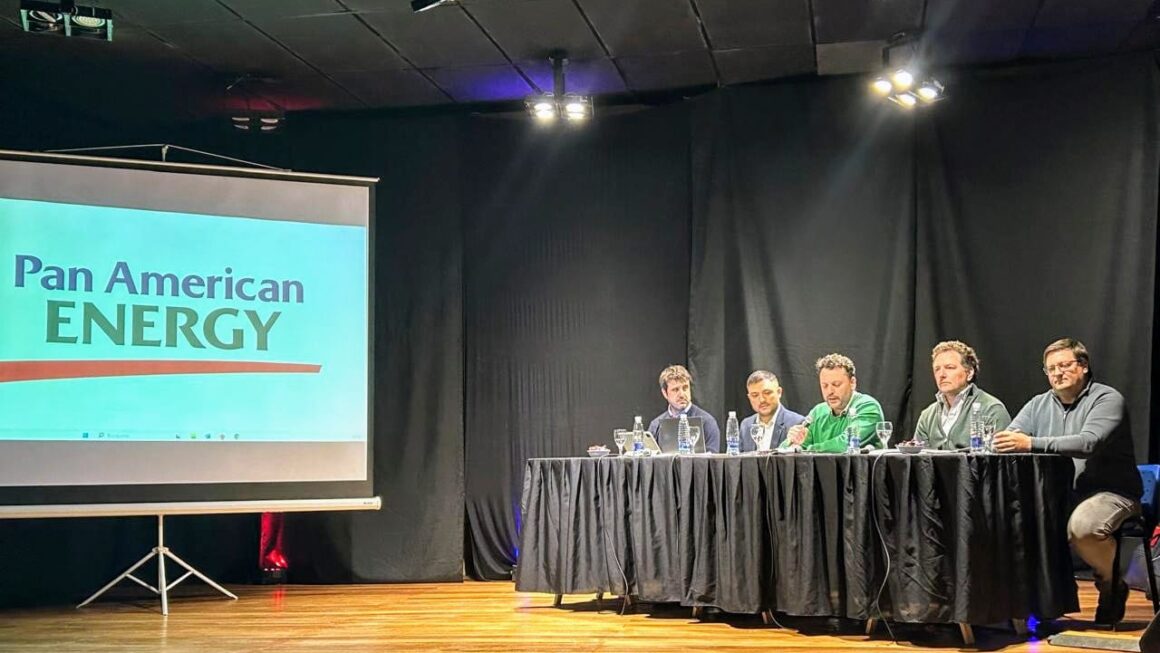 Provincia llevó a cabo la Audiencia Pública por la Estación Transformadora en Cerro Dragón III