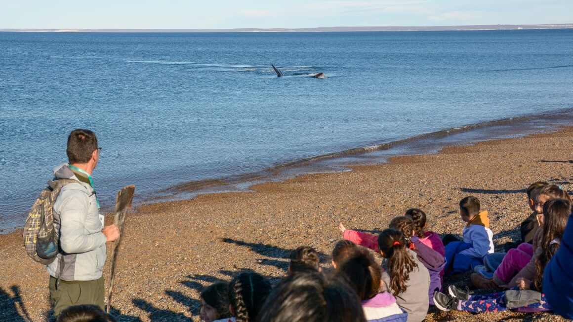 El 3 De Junio Comienzan Las Visitas Al Anp El Doradillo Del Programa “Los Chicos De Madryn Reciben A Las Ballenas”