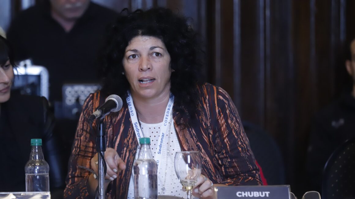 Chubut participó de la primera asamblea anual del COFEDRO