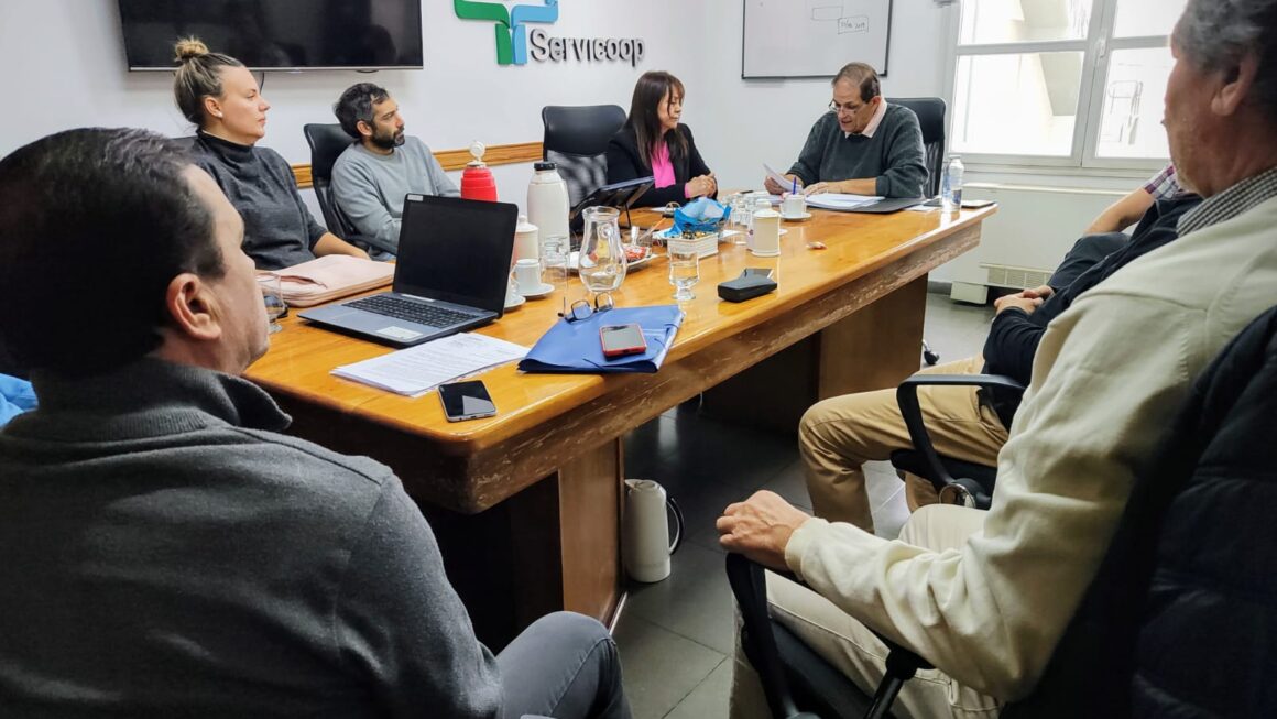 Auditoría Servicoop: Elecciones, Asamblea Y Balances Al Día