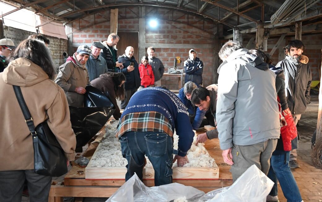 Provincia desarrolló taller de construcción eco-sustentable con madera de raleo y lana de oveja