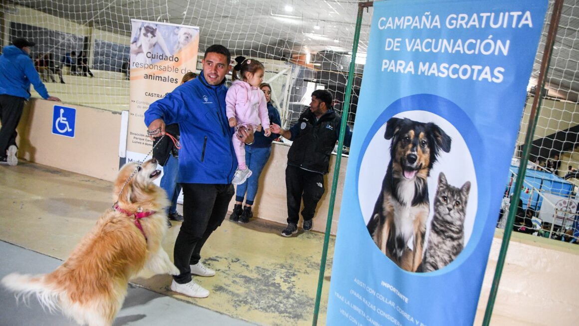 Las Campañas Gratuitas Para Perros Y Gatos Llegan Al Barrio Nueva Chubut