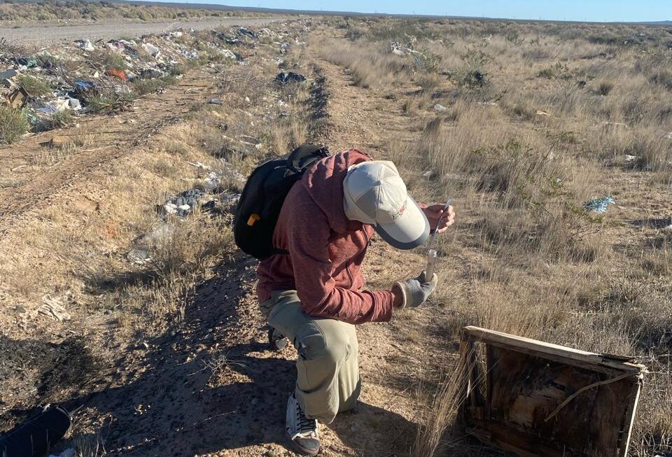 Becario de Chubut llevó adelante un revelador estudio de la supervivencia de arañas viudas negras durante el invierno en la Patagonia