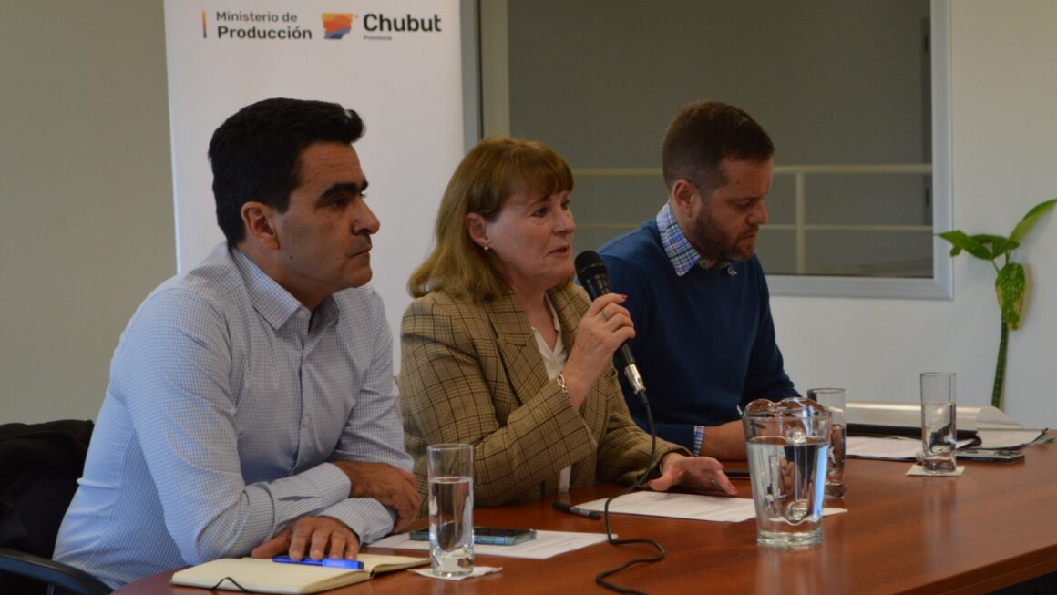 Provincia analiza junto al sector industrial los beneficios del proyecto para el Incentivo, Promoción y Desarrollo de la Industria Naval en Chubut