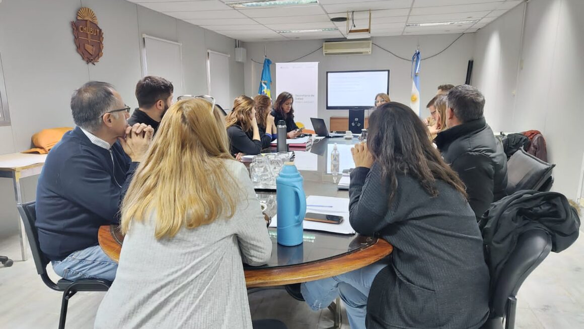 El Gobierno del Chubut avanza para implementar la receta electrónica y facilitar el acceso a los medicamentos