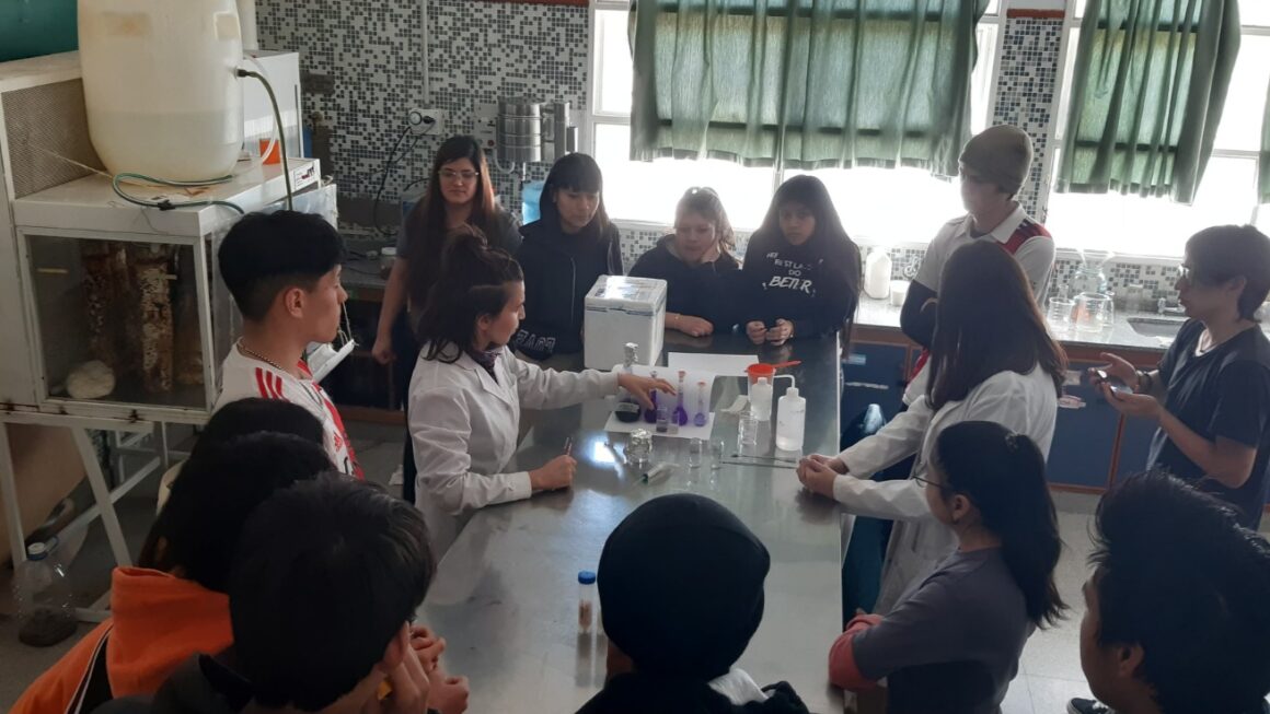 Proyectos de Chubut fueron seleccionados en la convocatoria que promueve la llegada de la nanotecnología a escuelas secundarias