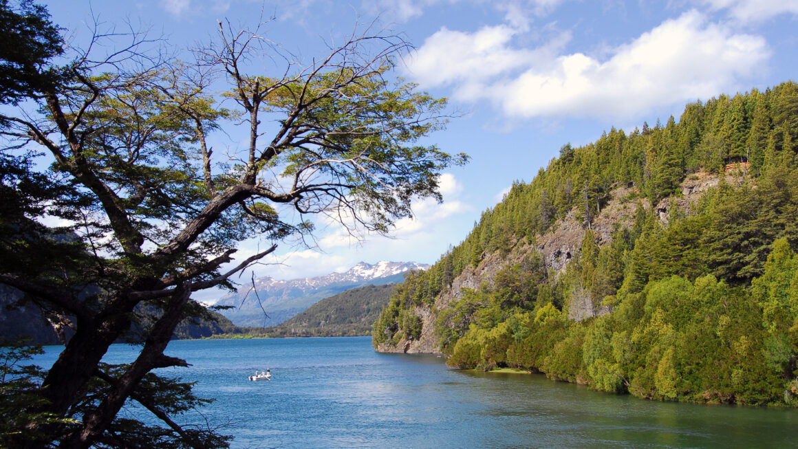 Chubut se convierte en la primera provincia argentina signataria de la Declaración de Glasgow
