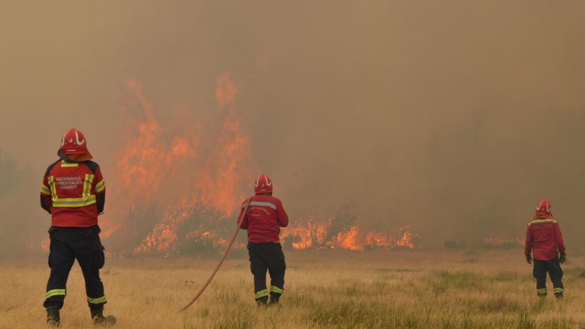 Provincia realiza en Esquel un curso de posgrado sobre valoración de recursos naturales afectados por el fuego