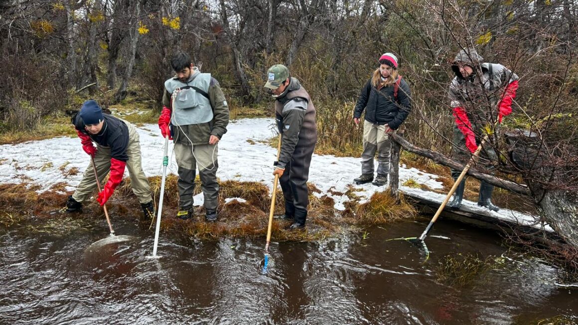 Provincia realiza campaña de desove en ambientes acuáticos de la cordillera