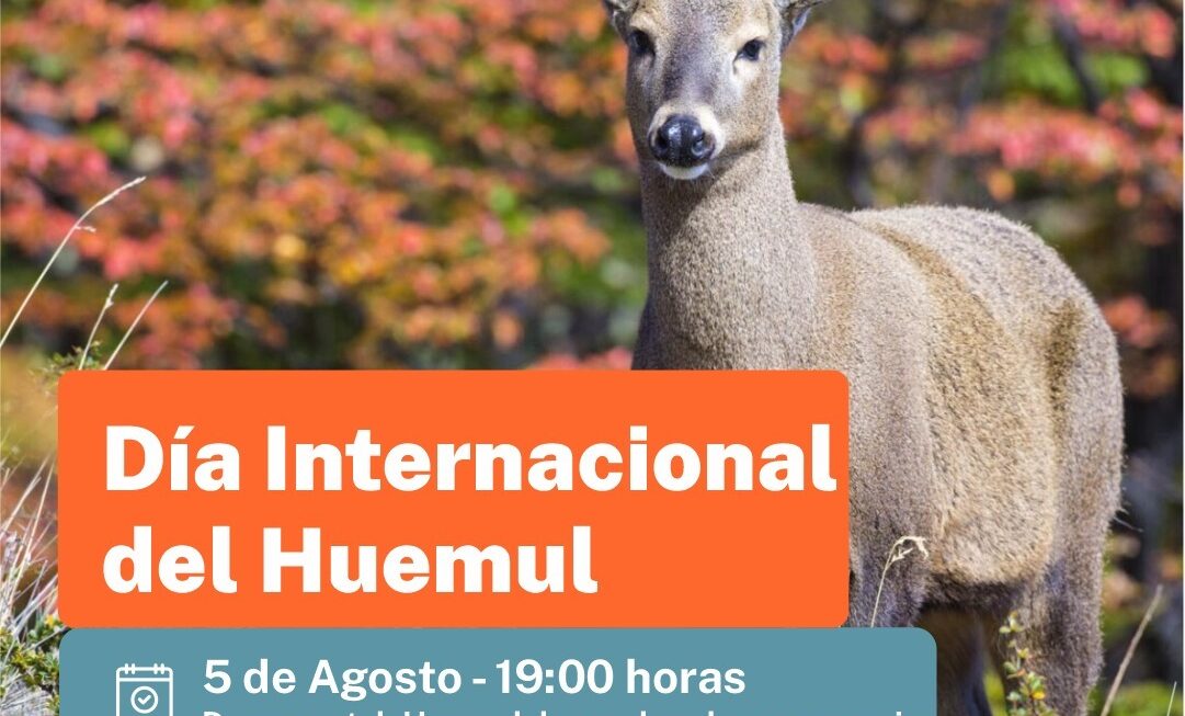 Provincia conmemora el «Día Internacional del Huemul» para crear conciencia sobre su preservación