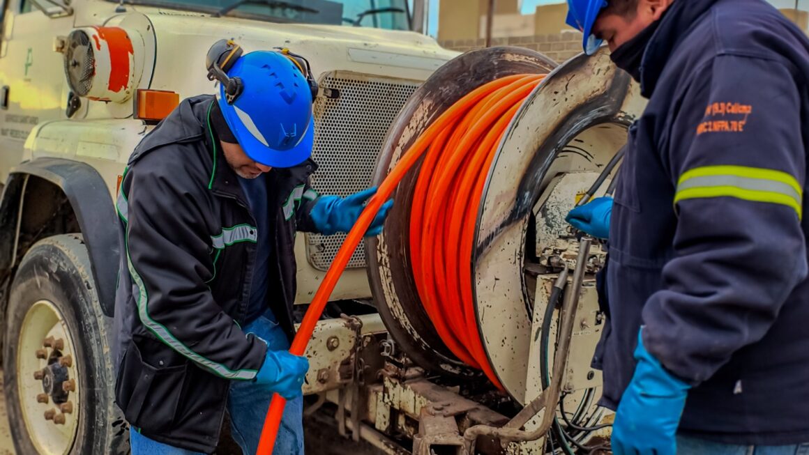 Mantenimiento preventivo del sistema cloacal