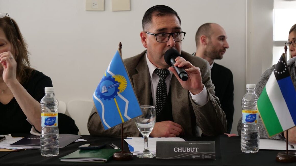 El Gobierno del Chubut participó de un nuevo encuentro del Consejo Federal de Seguridad Vial