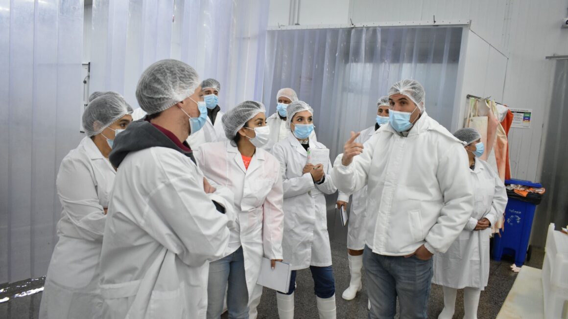 Provincia capacitó a inspectores de Higiene y Seguridad en el Trabajo