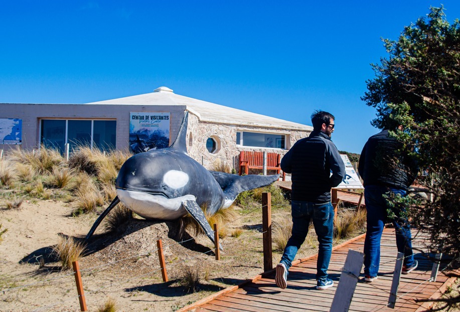 Provincia establece el sistema de ticket “Doble Día” como beneficio permanente en la Península Valdés