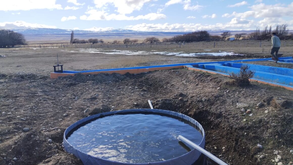 El Gobierno del Chubut reactiva la piscicultura en Río Pico