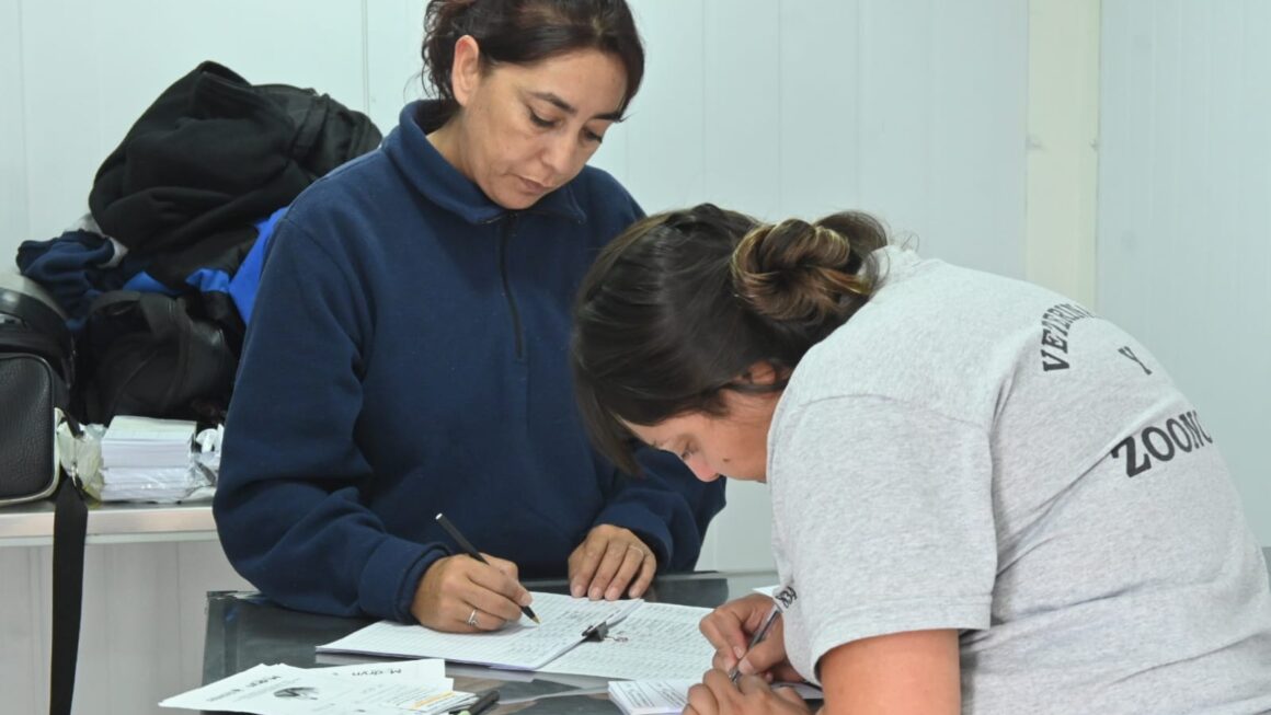 Continuamos Con Las Campañas Gratuitas Para Perros Y Gatos En Distintos Sectores De La Ciudad