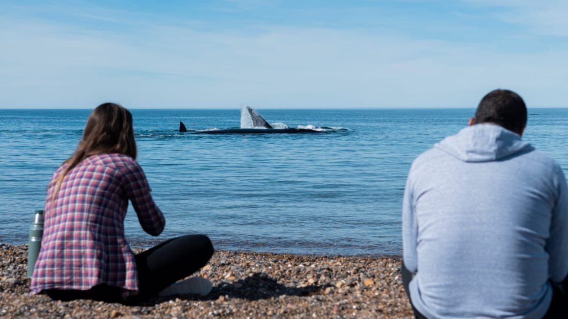 Día Internacional Del Turismo: Habrá Una Salida Al Anp El Doradillo Para Residentes