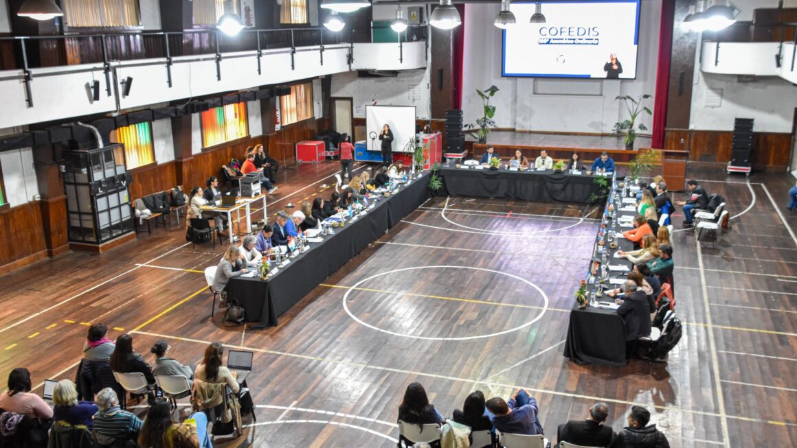 Chubut participó de la 100° Asamblea del Consejo Federal de Discapacidad