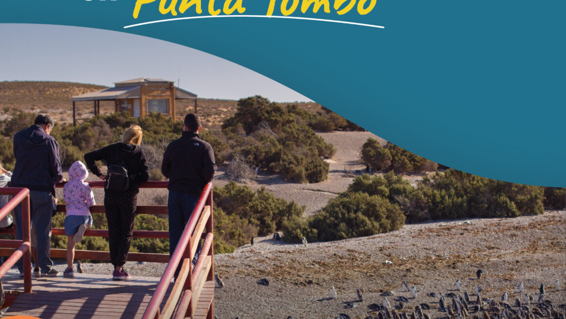 Chubut recibe a los pingüinos con dos fechas de apertura de temporada