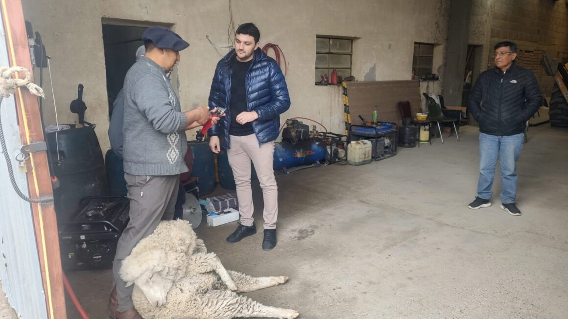 Impulsando el empleo local, Provincia inició un curso de esquila en Colán Conhué