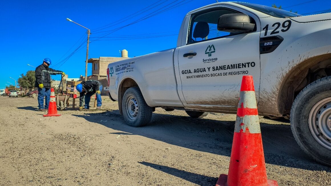 Mantenimiento sobre cámaras del sistema cloacal