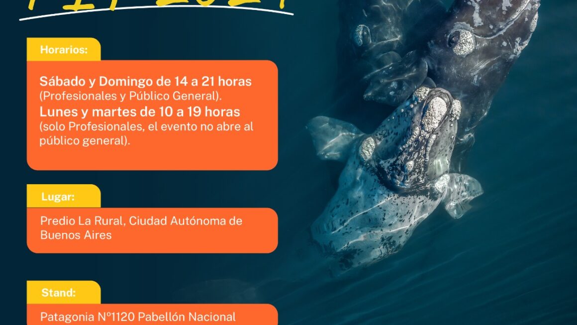 Chubut se prepara para exponer sus atractivos en la Feria Internacional de Turismo 2024