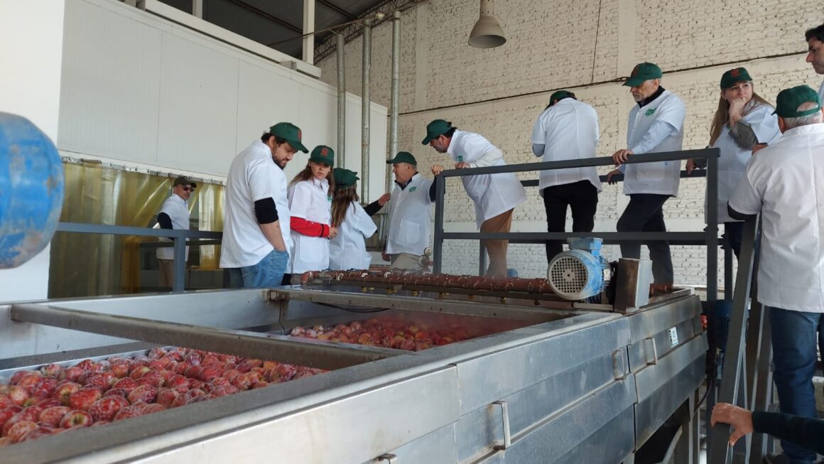Activa participación de Chubut en el Consejo Federal Agropecuario de la Patagonia