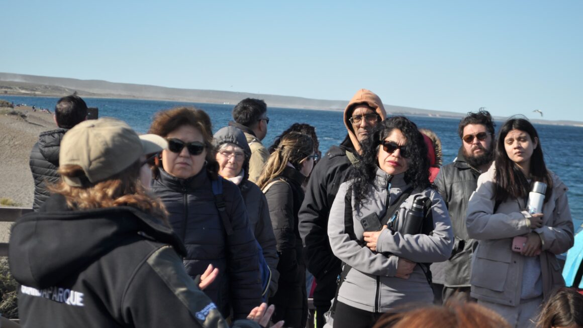 Exitoso Avistaje Costero De Ballenas En El Doradillo Por El día Internacional Del Turismo