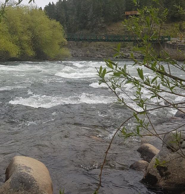 Provincia lanza la temporada de pesca del salmón del pacífico