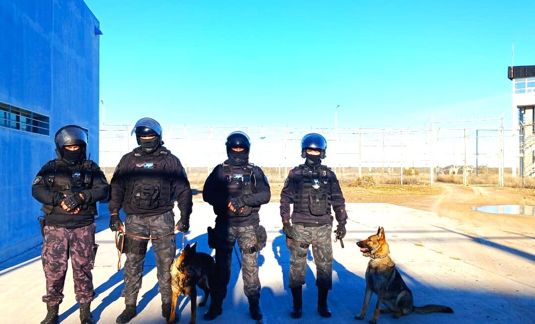 Con importantes resultados, la sección Canes de la Policía del Chubut cumplió tareas en una requisa en el IPP de Trelew