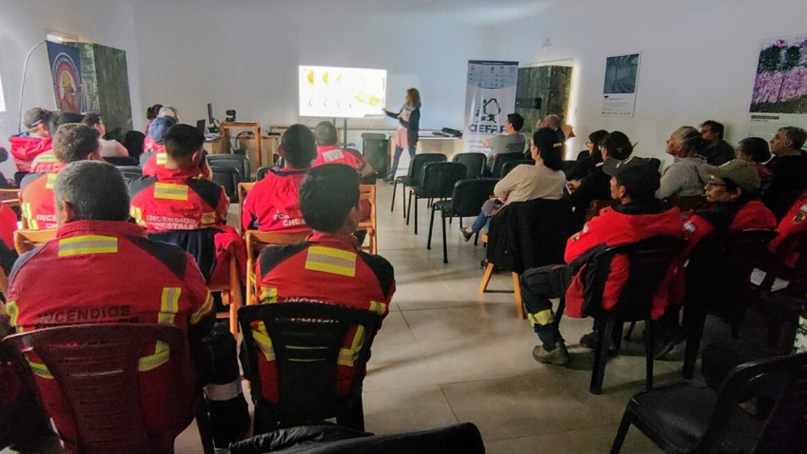 El Gobierno del Chubut realizó nuevo plenario del Servicio Provincial de Manejo del Fuego