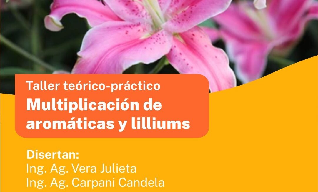 Provincia invita a participar de taller sobre multiplicación de aromáticas y lilium en Cholila