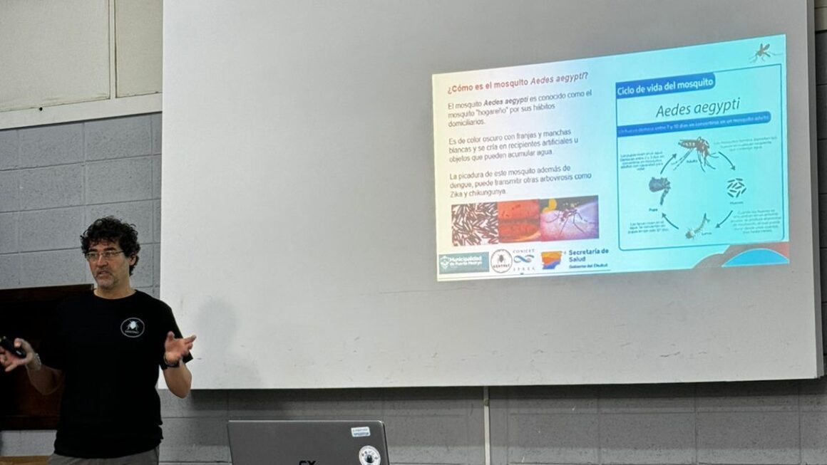 Chubut hará monitoreos para determinar la posibilidad que a futuro pudiera estar presente el mosquito que transmite el Dengue