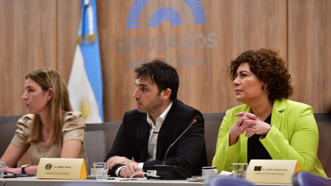 Torres defendió en Diputados el proyecto que apunta a impulsar la industria del hidrógeno verde en Argentina