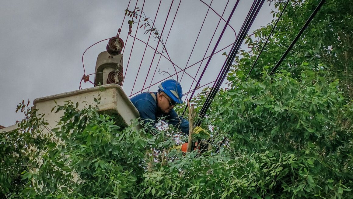 Mantenimiento preventivo sobre redes eléctricas