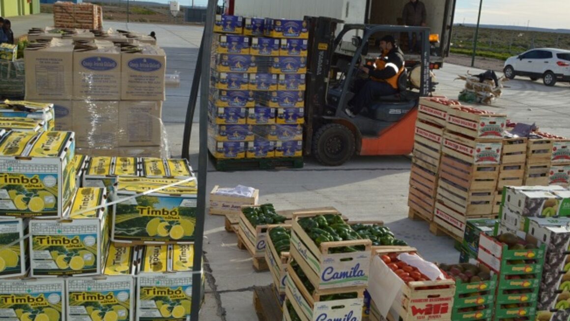 Provincia impulsa mejoras logísticas en el Mercado Concentrador del Chubut